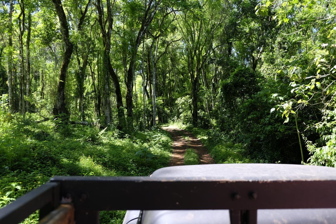 La Mision Mocona - Lodge De Selva Saltos del Mocona Luaran gambar