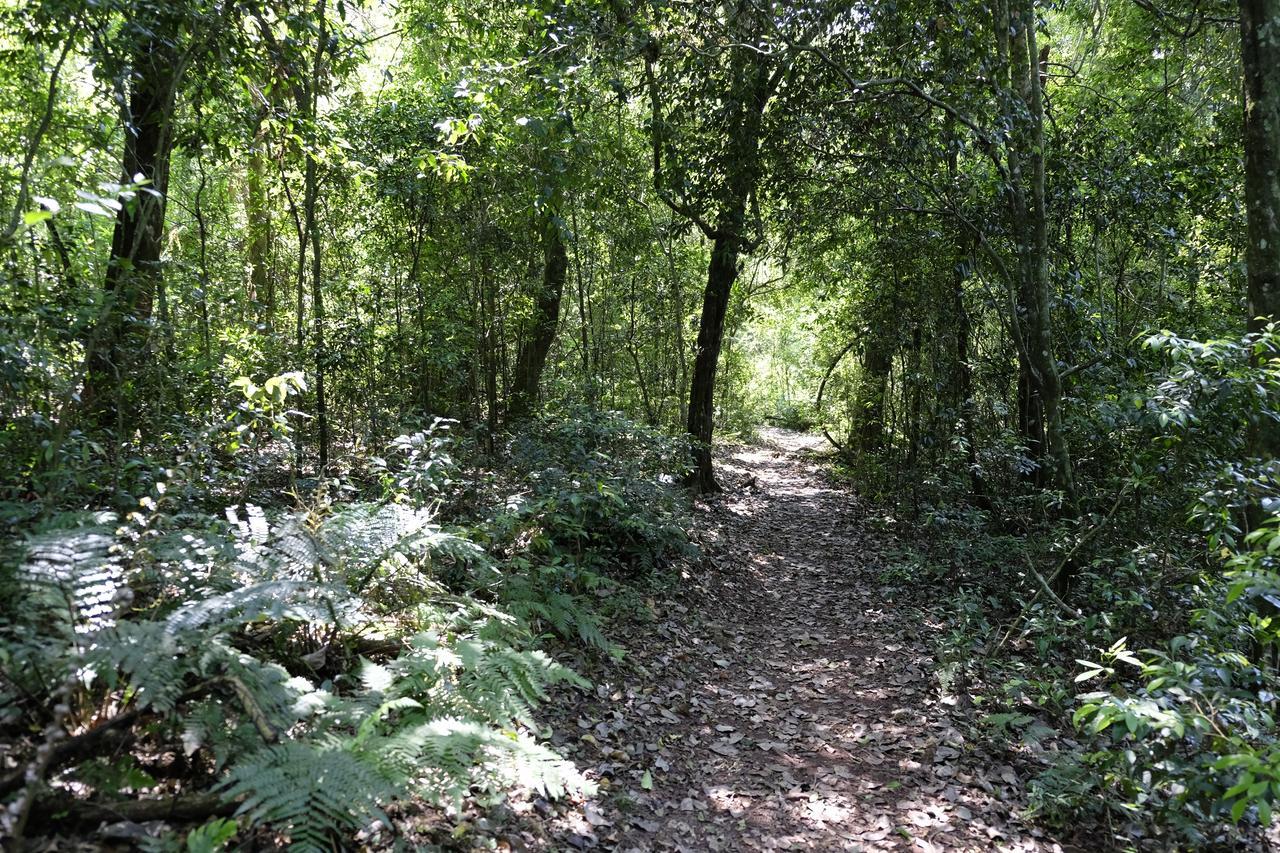 La Mision Mocona - Lodge De Selva Saltos del Mocona Luaran gambar